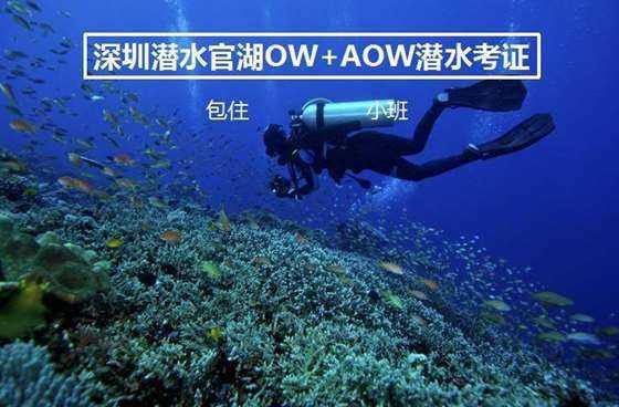 太豪了!刘南希晒四世同堂,住35w月子会所,婆婆送10w红包惹争议