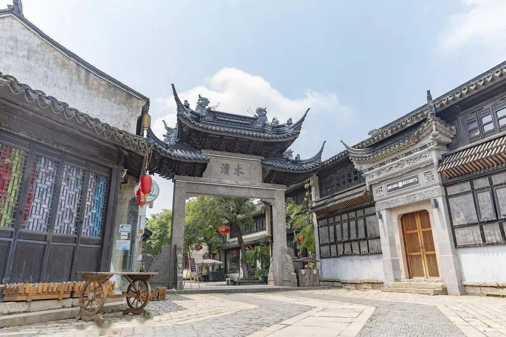 奥日与黑暗森林
