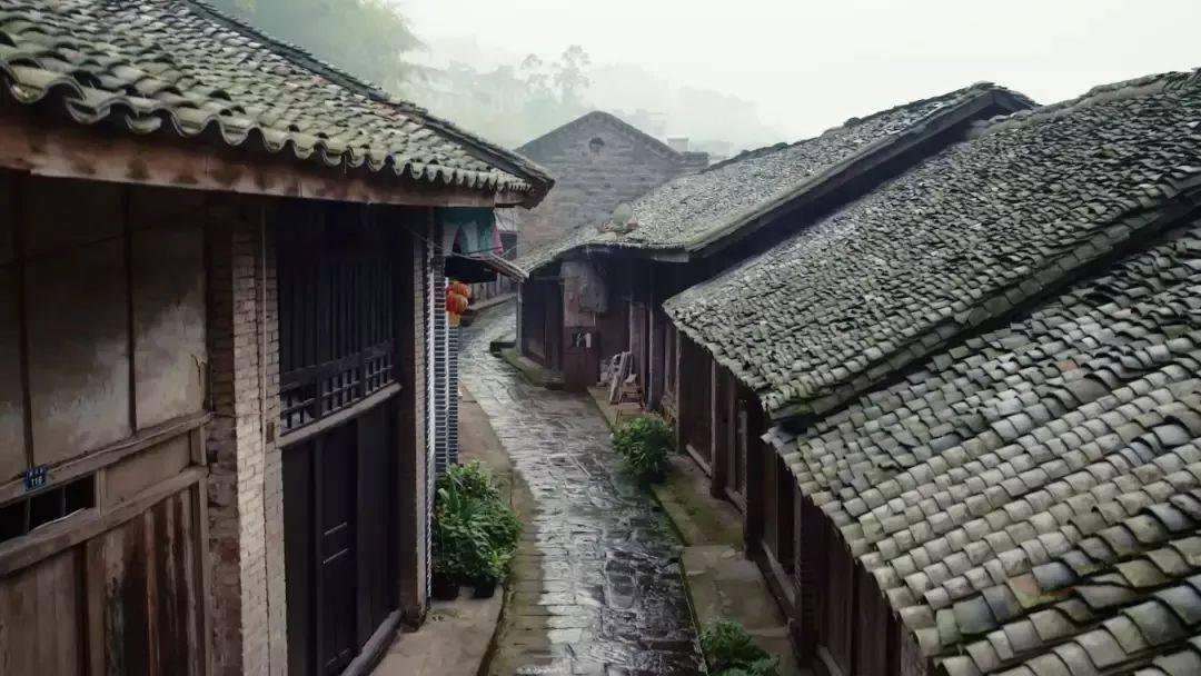什么是有氧运动，什么是无氧运动，要具体举例？游戏画面